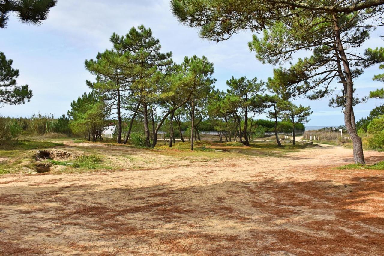 Solario Dos Pinheiros - Pines Solarium Villa Esposende Eksteriør bilde